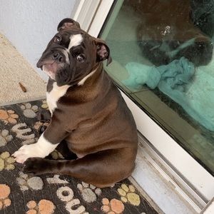 Meet your Posher, Dakota